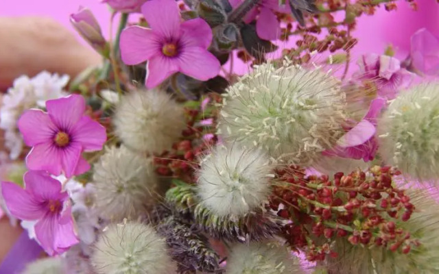 Logis Hotel Le Neptune