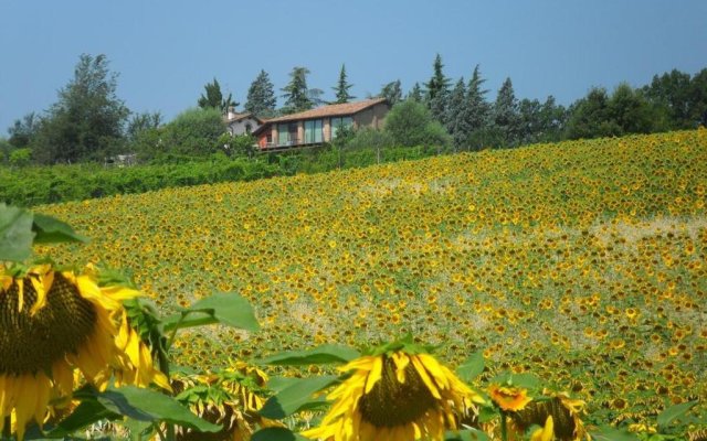 Fattoria L'Alpenice Bioagriturismo