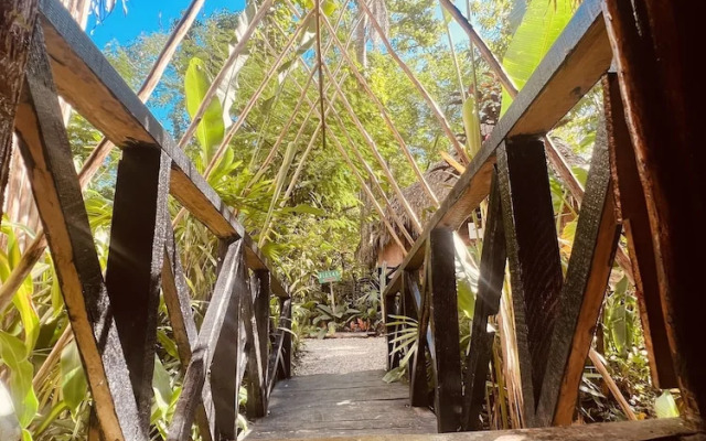 Sámana tropical