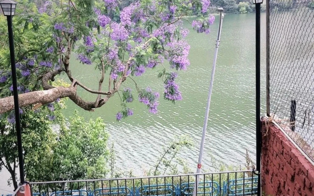 Lazy Bear Resort And Cafe