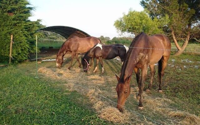 Les Prairies Mas Roux