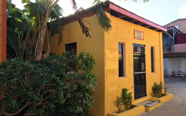 Tropical Paradise Express