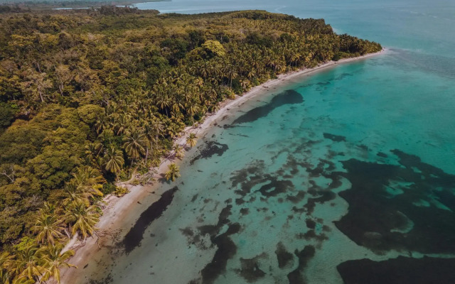 Socialtel Bocas del Toro