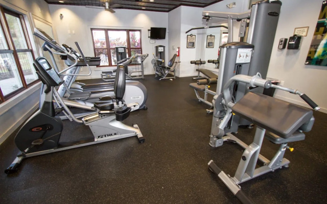 NUOVO - Disney / Kissimmee