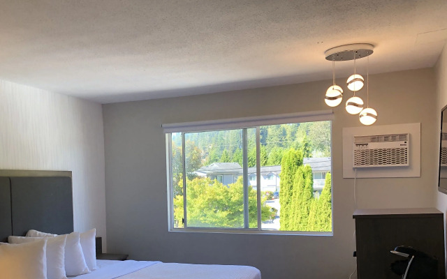 The Spot at Porpoise Bay