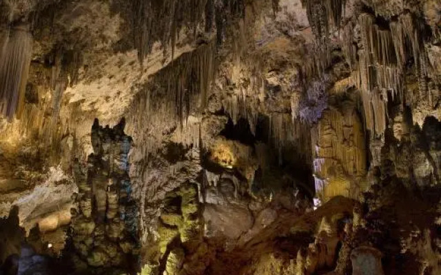 Apartamentos Manuel Martin