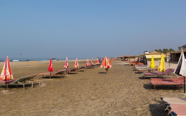 Turtle Beach Resort - Morjim