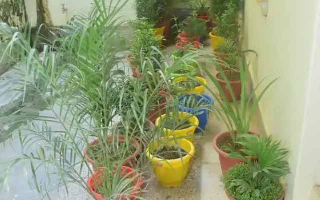 Goroomgo Shubh Kashi Palace Varanasi