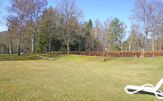 Birkenwald Seefeld in Tirol