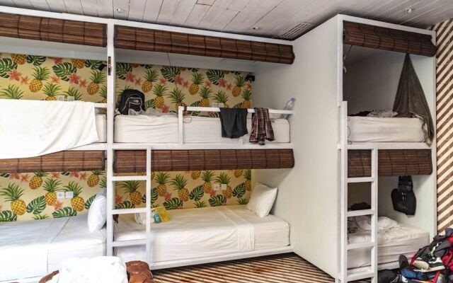 Socialista Lifestyle Hostel