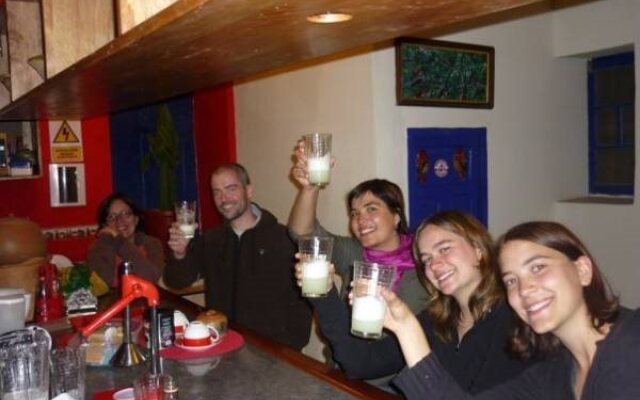 Flying Dog Hostel Cusco