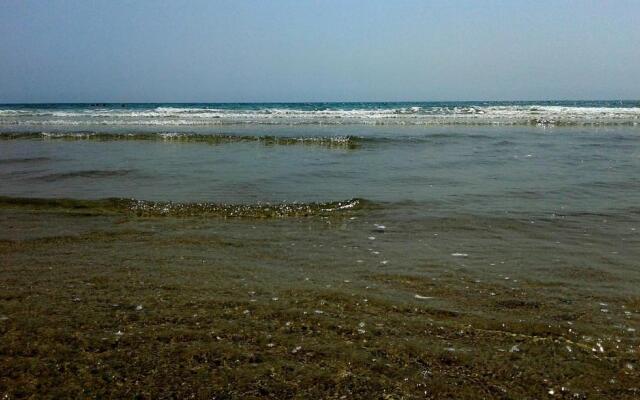 Thai Paradise South 255/2