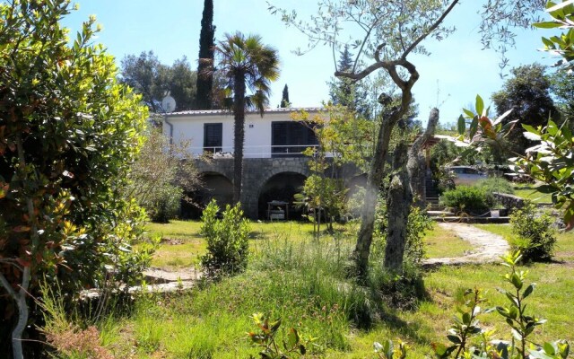 Seafox Waterfront Residence