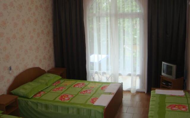 Guest House Irina