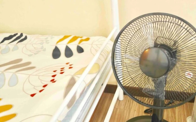 【NS】 NS Hights 205