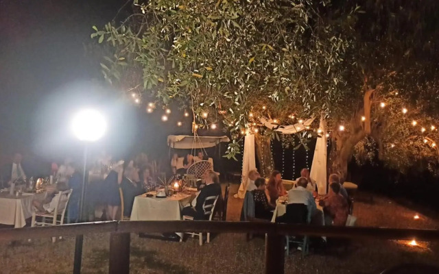 Tenuta Terre di Bosco