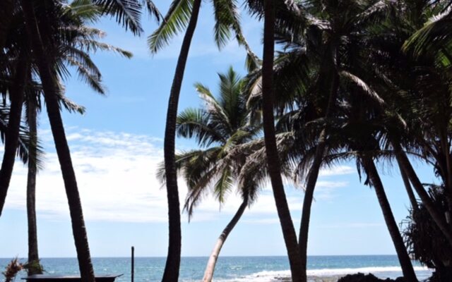 Curry Bowl Restaurant & Turtles Rest