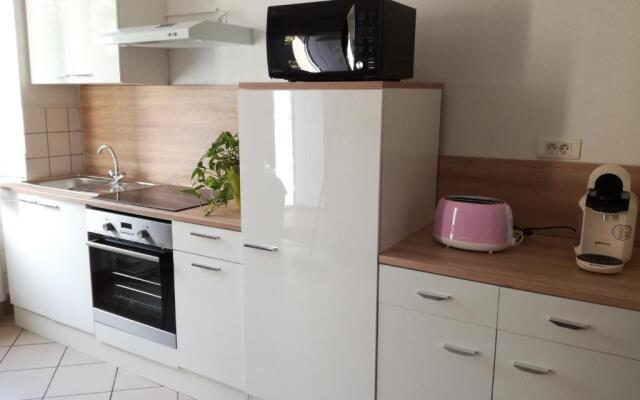 Appartement avec jardin à Colmar