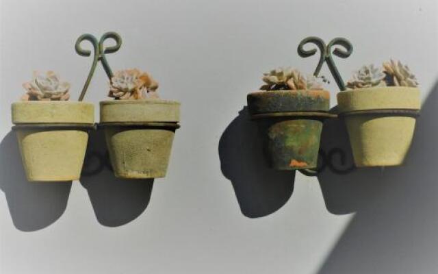catalogImage