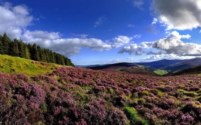 Aughrim Holiday Village