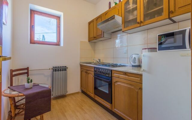 Apartment RONI