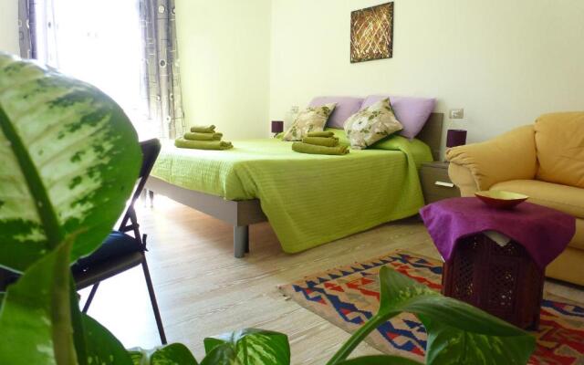 B&B Luce Viola