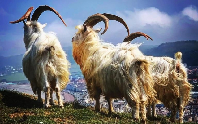 Lansdowne House with Private Car Park