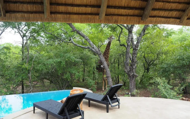 Pata Pata House