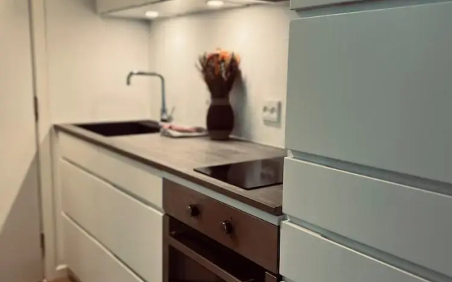 Cozy Flats Silkeborg - S2