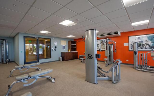 Spacious Waikiki Beach 2BR-Ocean View-Free Parking