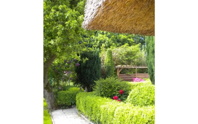 Strandnelke Modern Retreat