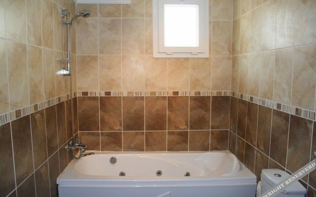 Dream of Holiday Calis