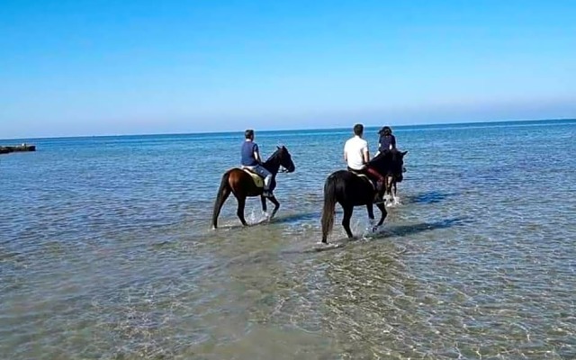 Kite House Marsala Stagnone