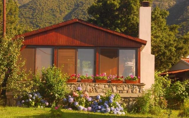 Alekas Studios