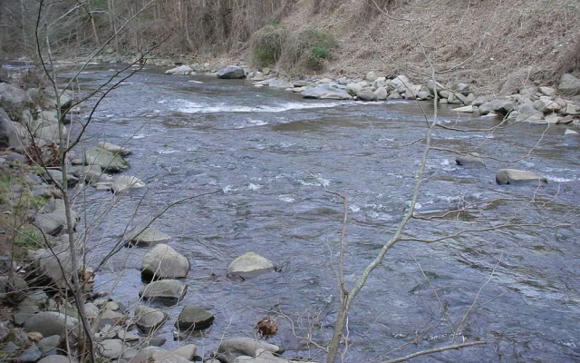 River Dream 466 By Redawning