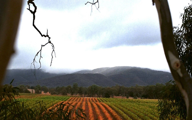 Eco-luxe at Mount Avoca