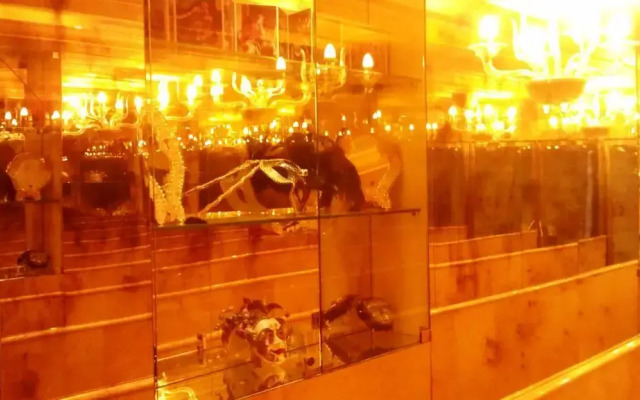 Hotel Alcyone