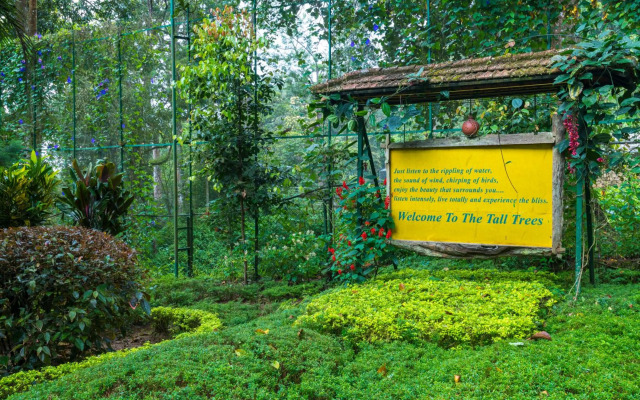 The Tall Trees Munnar