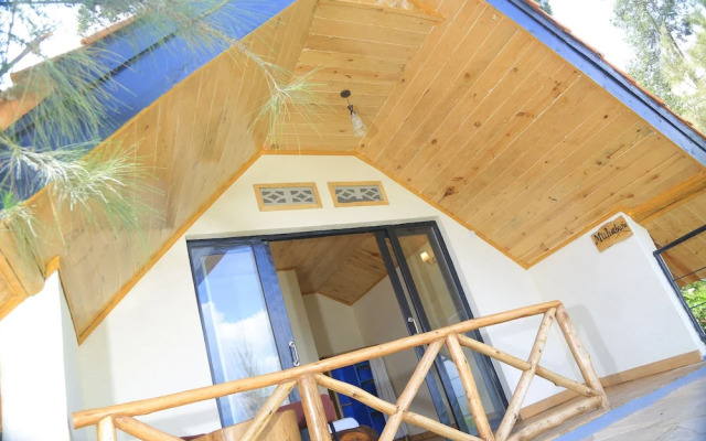 My Hill Eco-Lodge