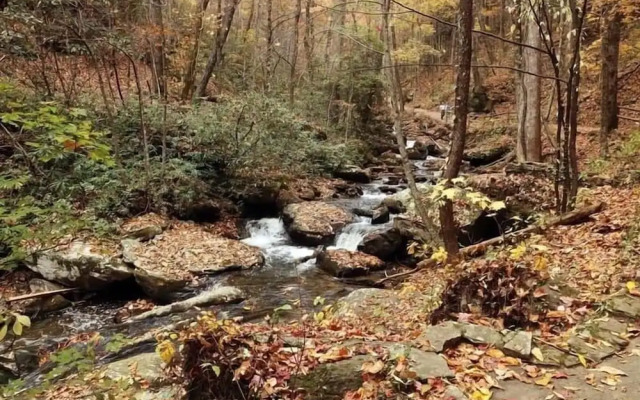 Nacoochee Valley Lodge