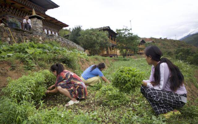 Wangdue EcoLodge