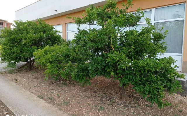 Studio apartment with balcony