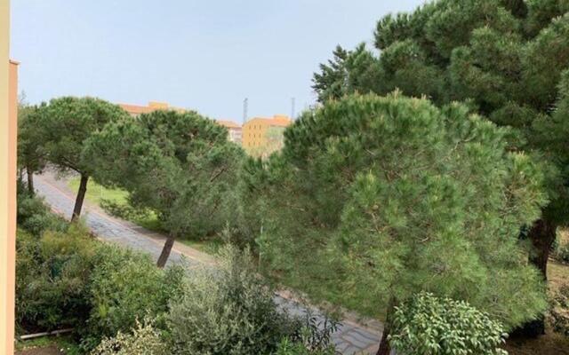 Appartement Cap d'Agde, 3 pièces, 6 personnes - FR-1-607-44