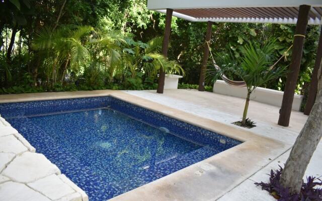 Quetzal Penthouse 2 rec