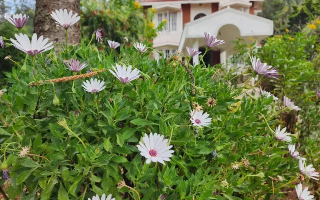 Narmada Holiday Home