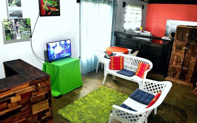 Casa Turtle Bogue - Hostel