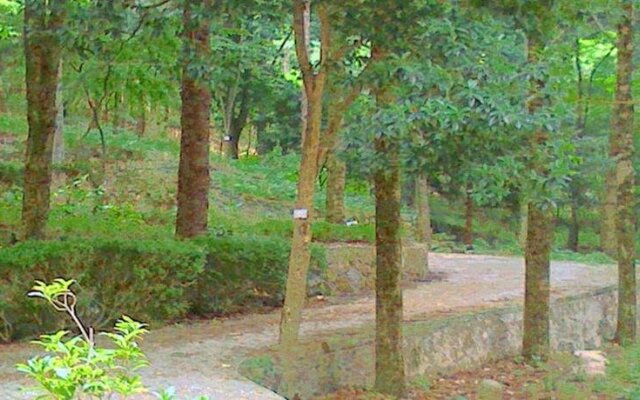 Huang Shan Pine Ridge Lodge