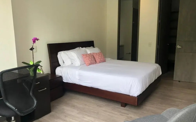 Class Suites By Nomad Guru