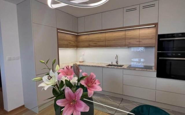 Downtown apartment Darinka