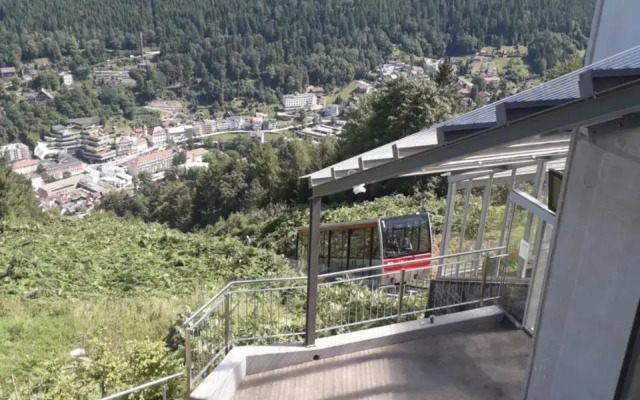 Ferienwohnung in ruhiger Waldrandlage